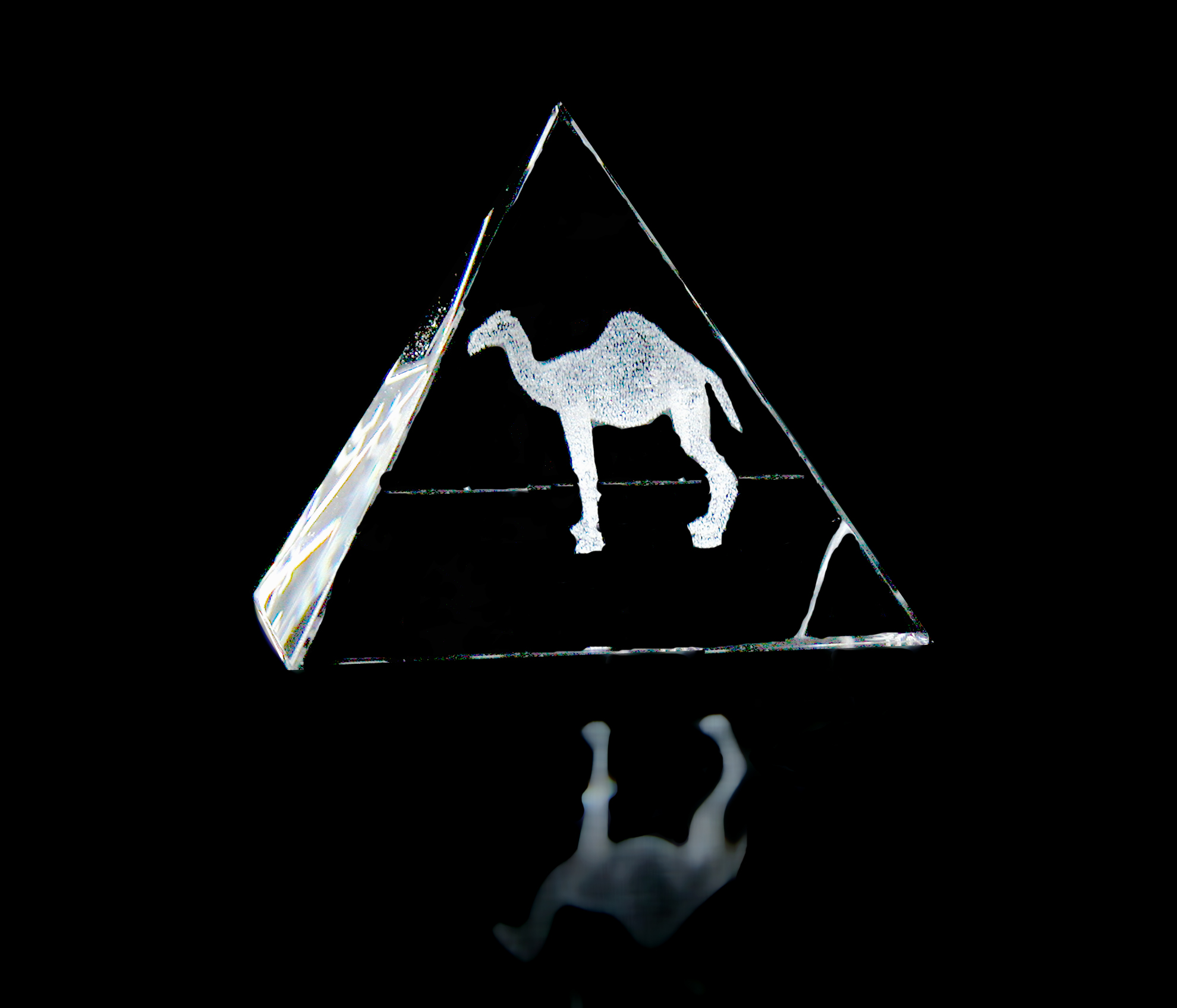 Crystal Camel