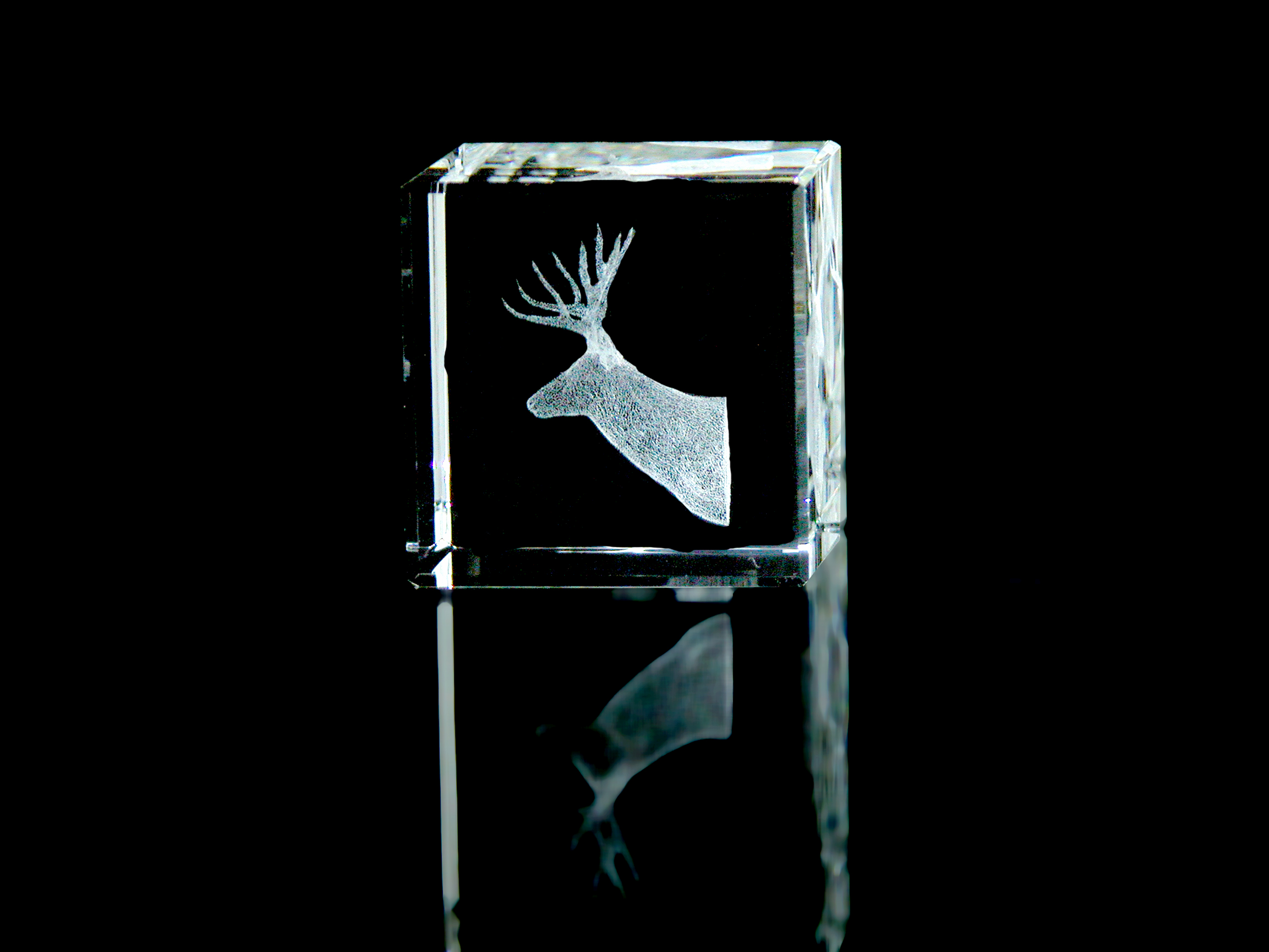 Crystal Deer